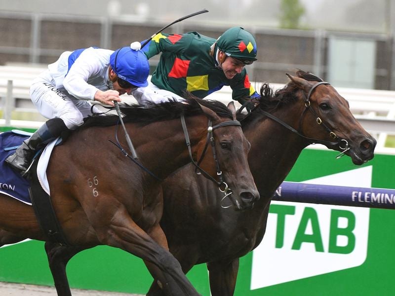 Alligator Blood Wins Thrilling Group 3 Hayes