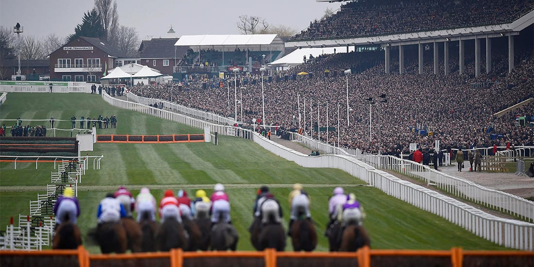 Cheltenham Festival betting news