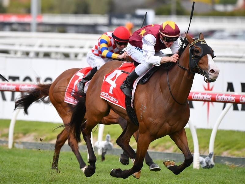 Streets Of Avalon In Form For All-Star Bid