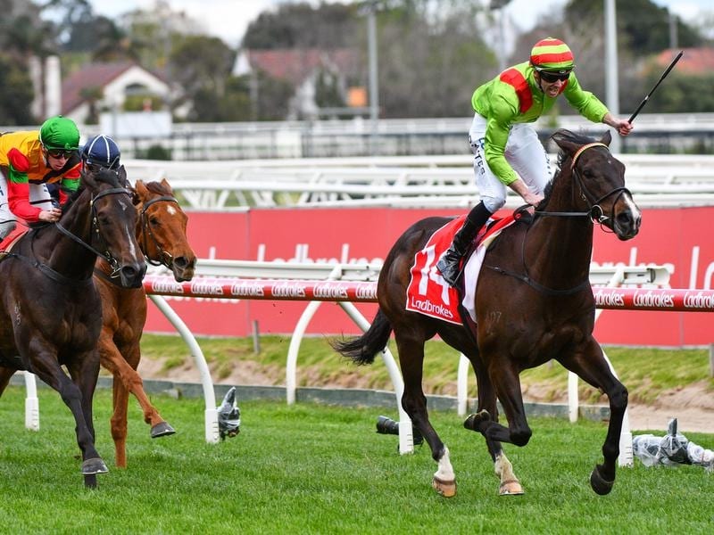 Victorian Faces Mother Of A Task In G1