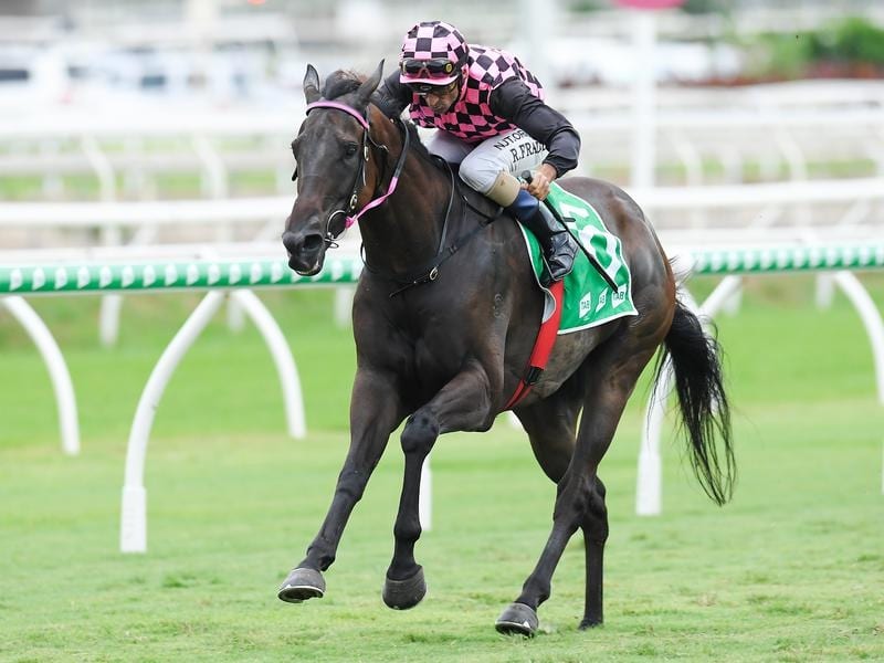 Heathcote Unveils Potential Carnival Star