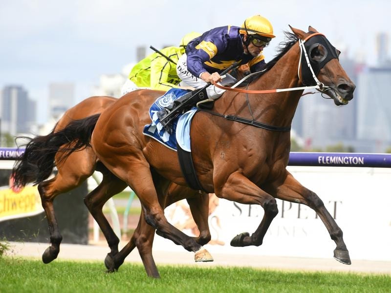 Wild Planet Salutes In Listed March Stakes