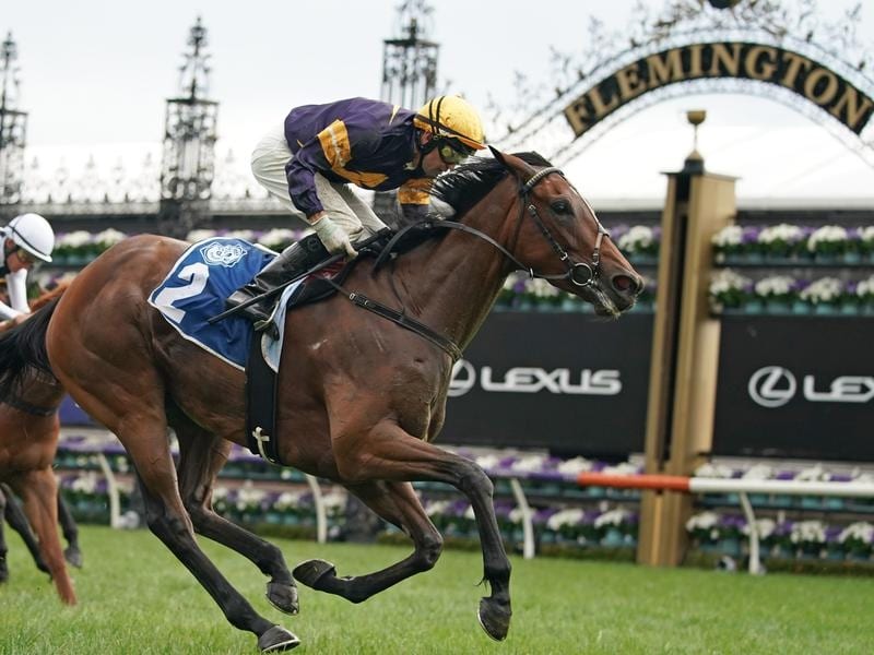 Tofane Gets Another Group 1 Chance In Galaxy