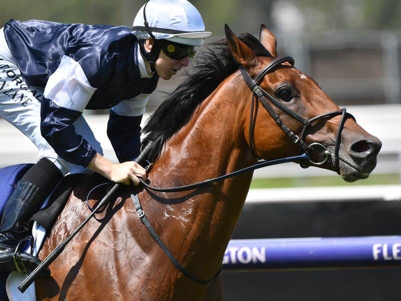King Of Leogrance Scores Emotional Cup Win