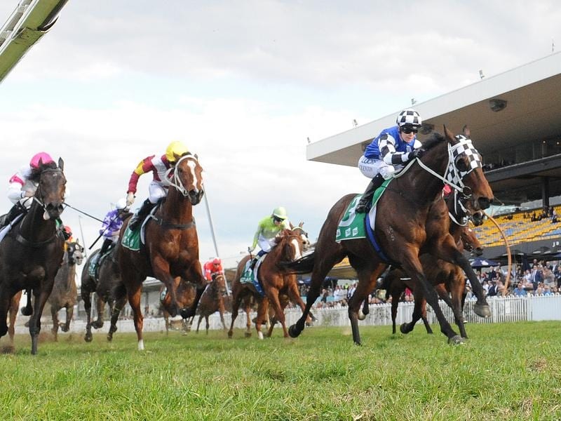Ligulate New Favourite For Country Champs