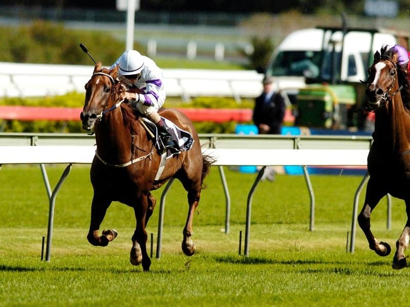 Grand Campaigner Eremein Dies At 18