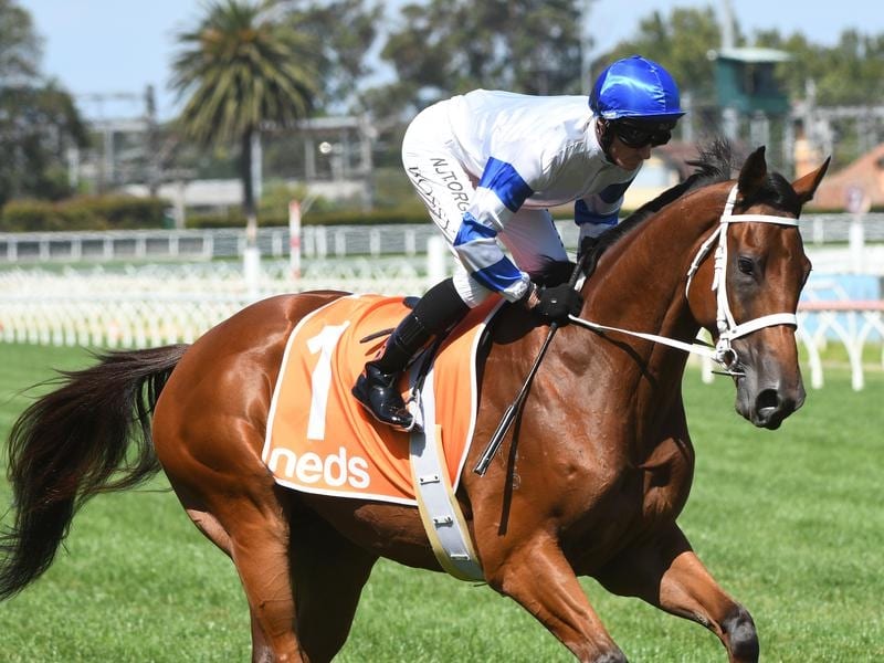 Kolding Going Right Way To All-Star Mile
