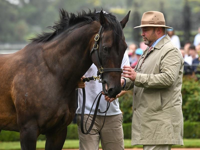 RV Board Gives Peter Moody The Green Light