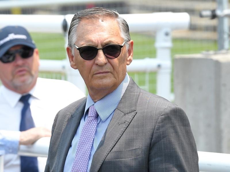 Barbaric Wins Black Opal, Cellsabeel Third