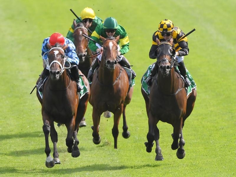 No Coolmore For Nz Star Filly Probabeel