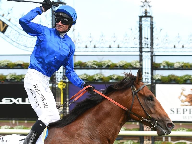 Bivouac Dominant In G1 Newmaket Handicap