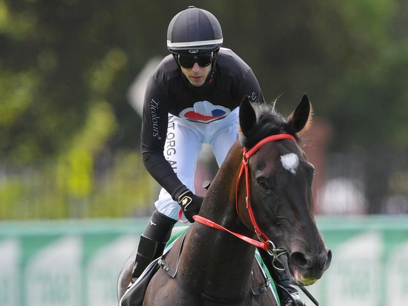 Ambitions High For Fasika After Wenona Win