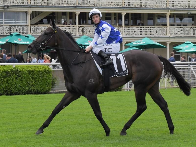 Flying Filly Villami Destroys Her Rivals