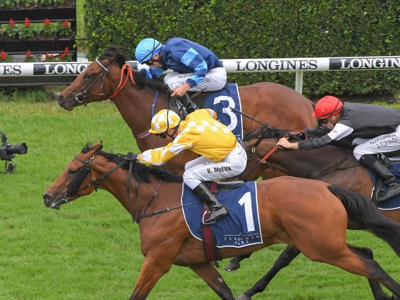 Dame Giselle Game To Win Muddling Reisling