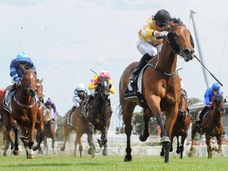 Mcevoy To Test Slipper Waters On Dame