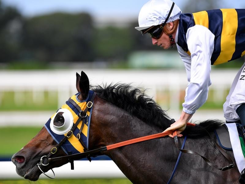 Baker After Fifth Australian Derby Success