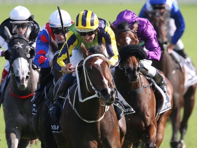 NZ Racing To Begin Training With Alert 3 Racing Online