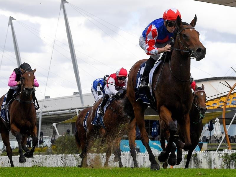 Macroura Adds Listed Win To Perfect Resume