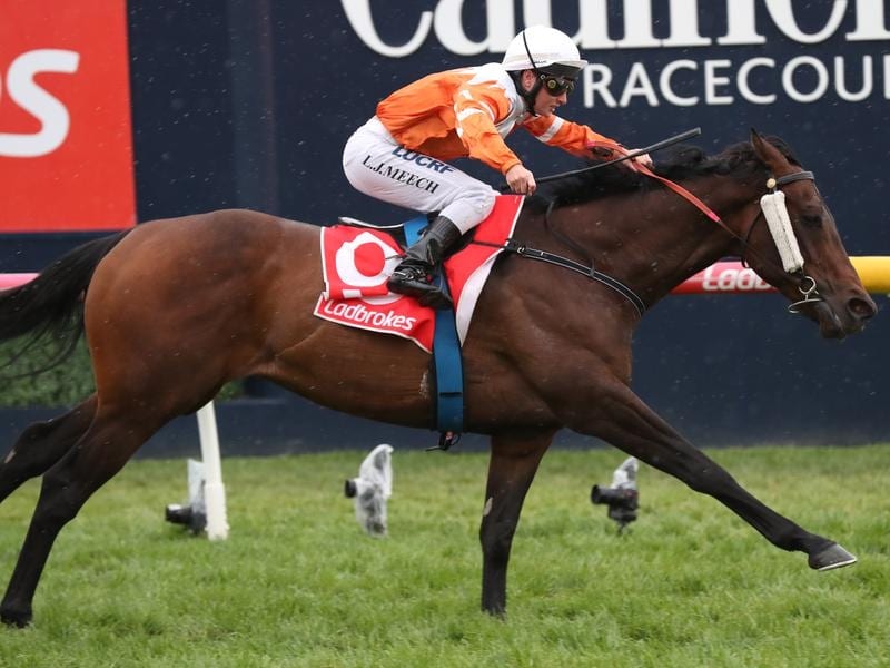 Sircconi Set For Back Up Run At Flemington