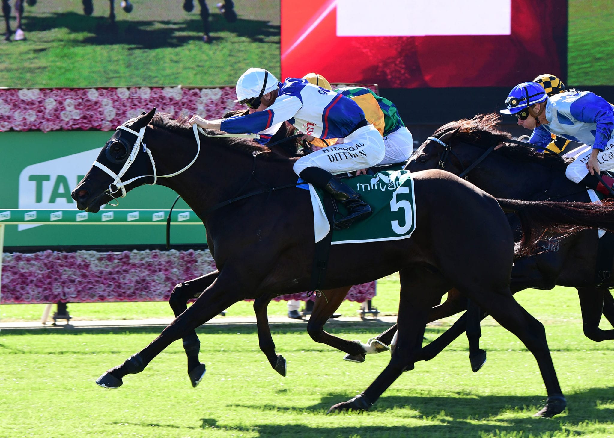 Stardome scores at Eagle Farm for Go Racing