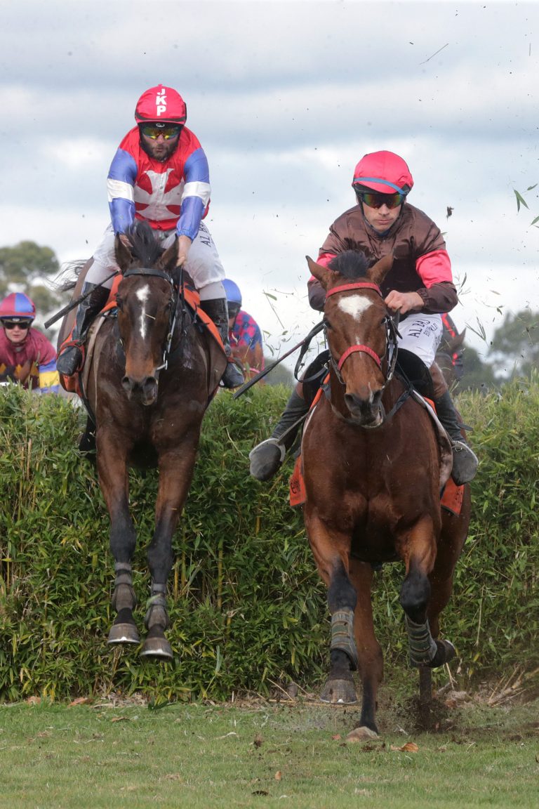 Southern visitor takes feature chase at Te Rapa