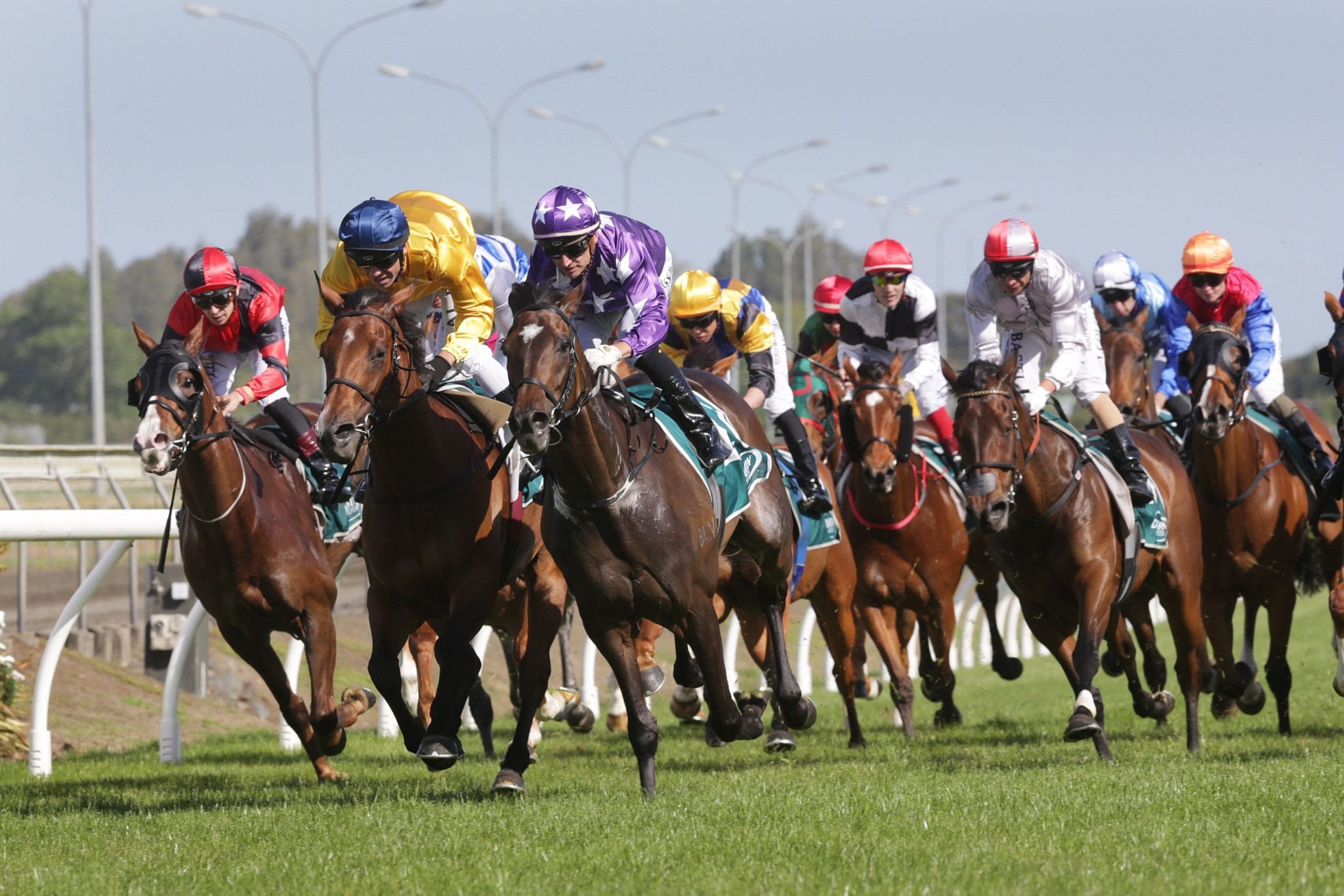 New Zealand racing calendar