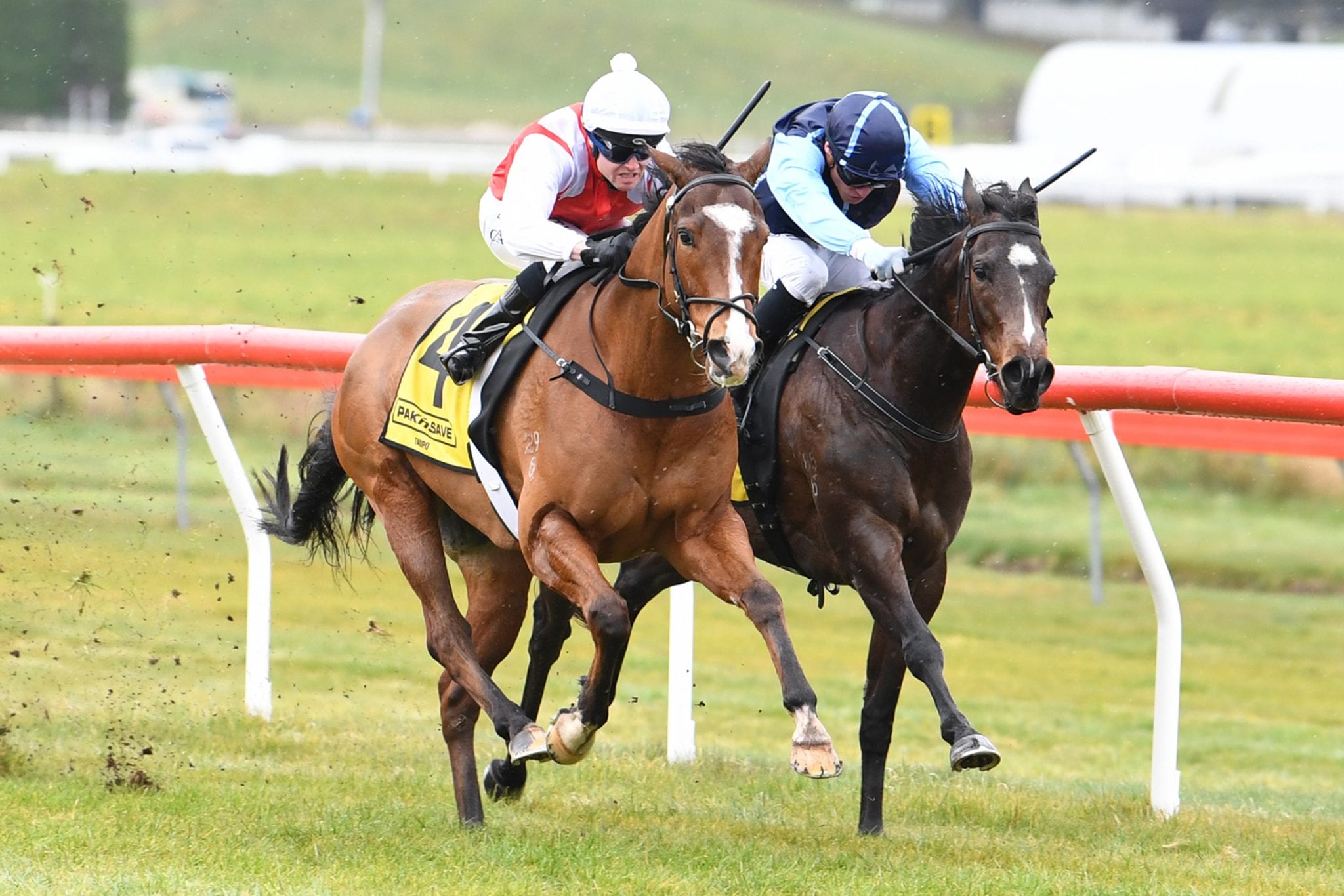 Breakthrough win for Harvey at Taupo