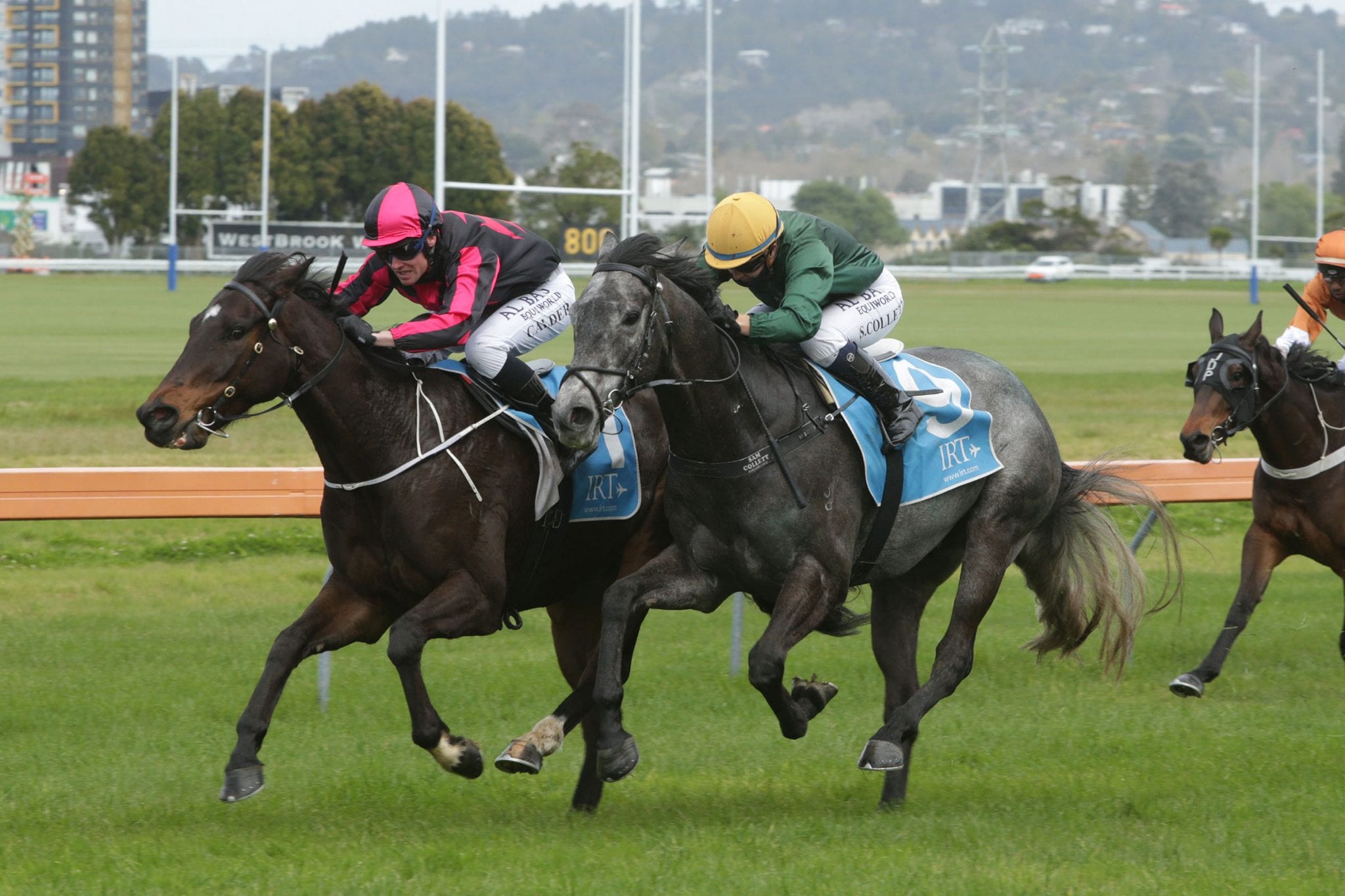 Another string to Sims’ bow