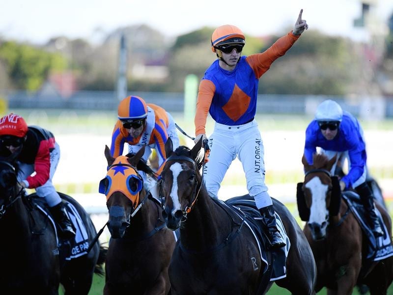 Mare With Champagne Tastes Ready For Epsom