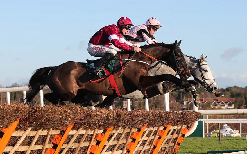 Leopardstown Christmas Festival jumps