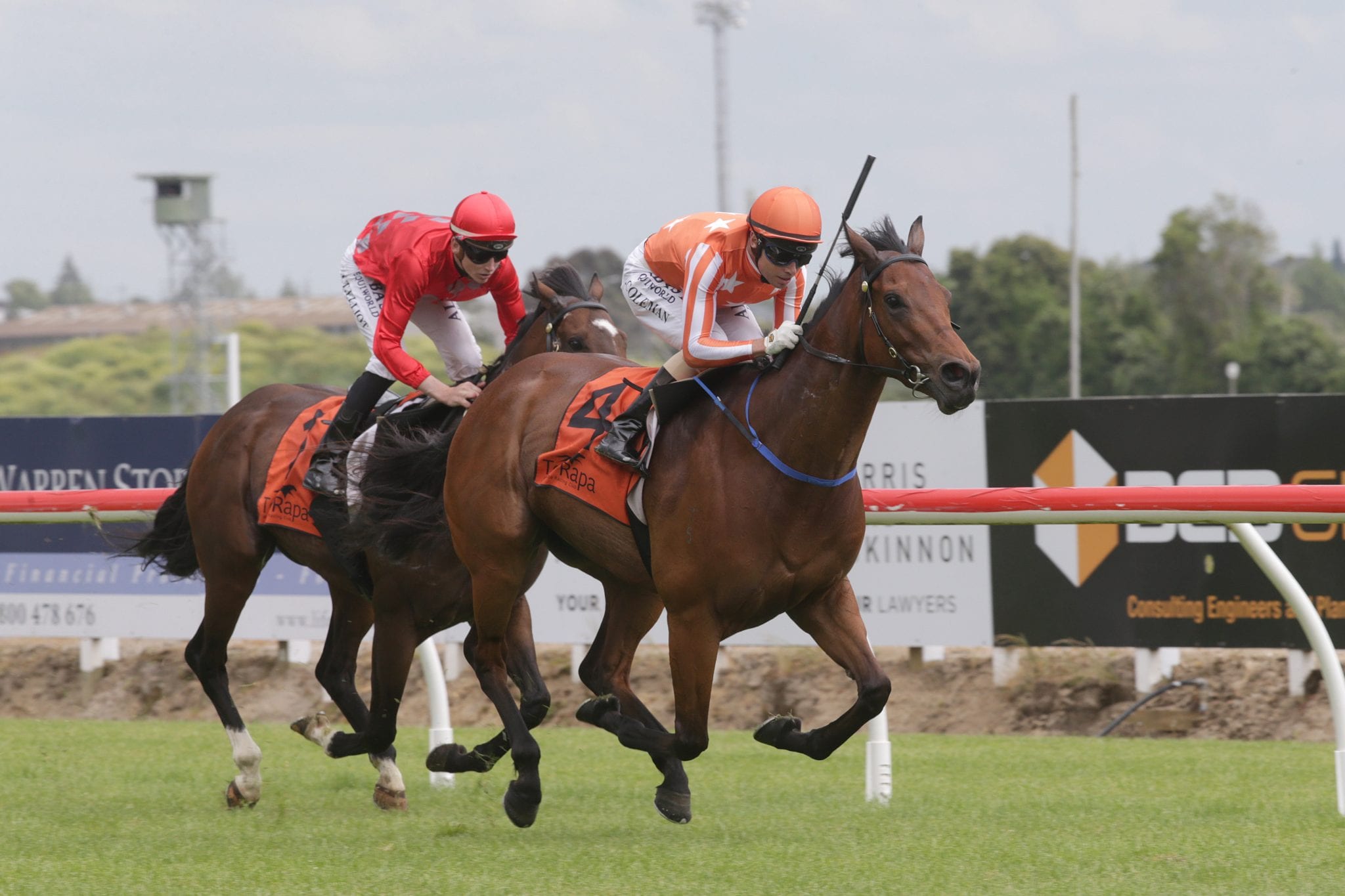 Media Sensation primed for Breeders’ Stakes