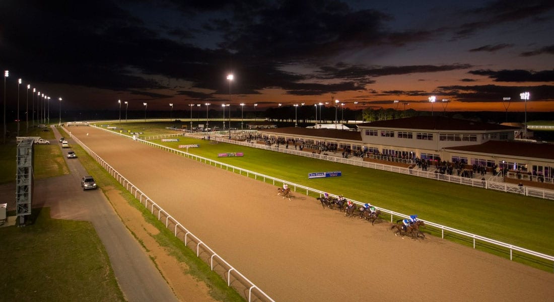 Chelmsford horse racing news