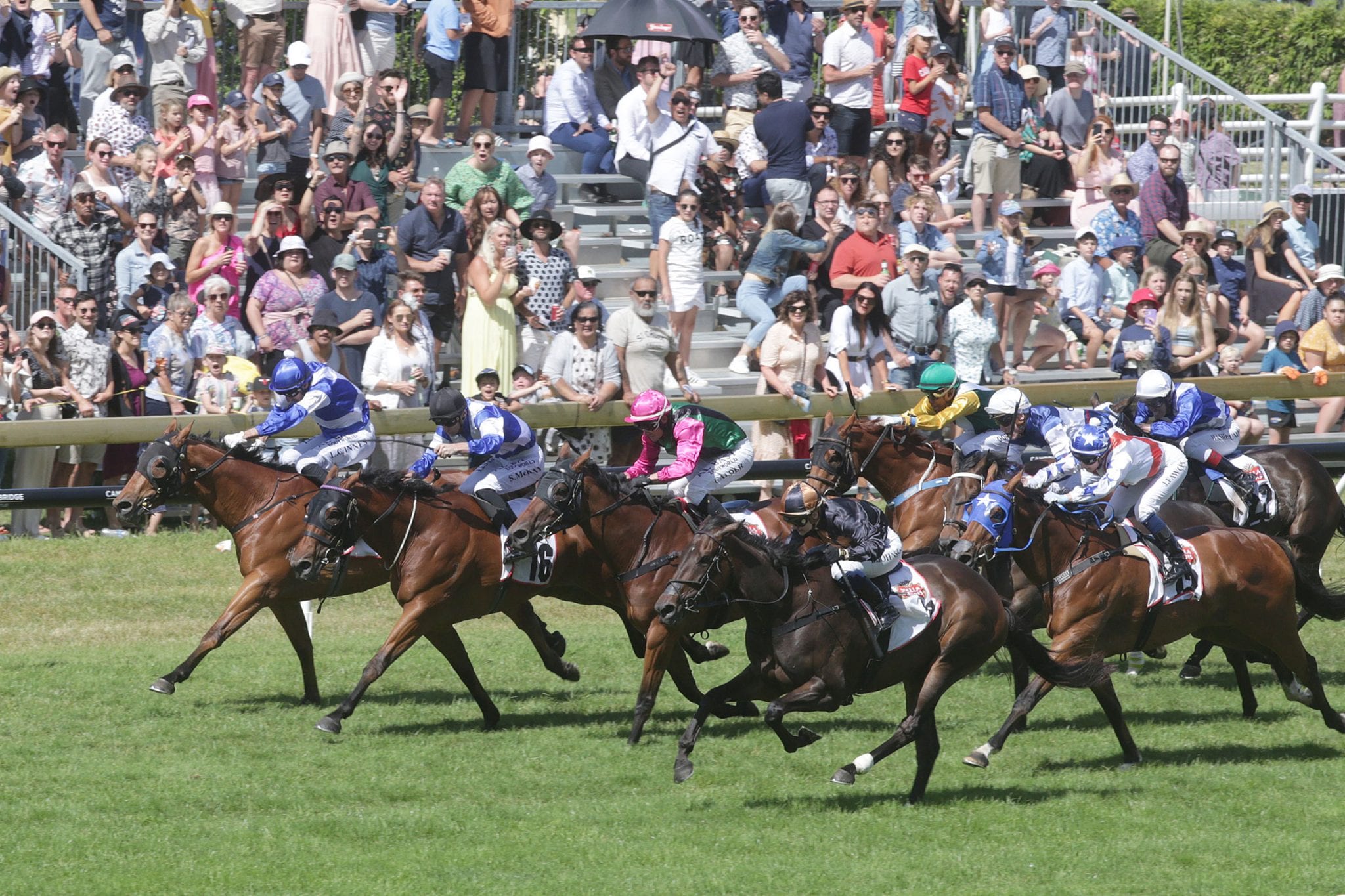 No time for Mai Tais as Karaka looms