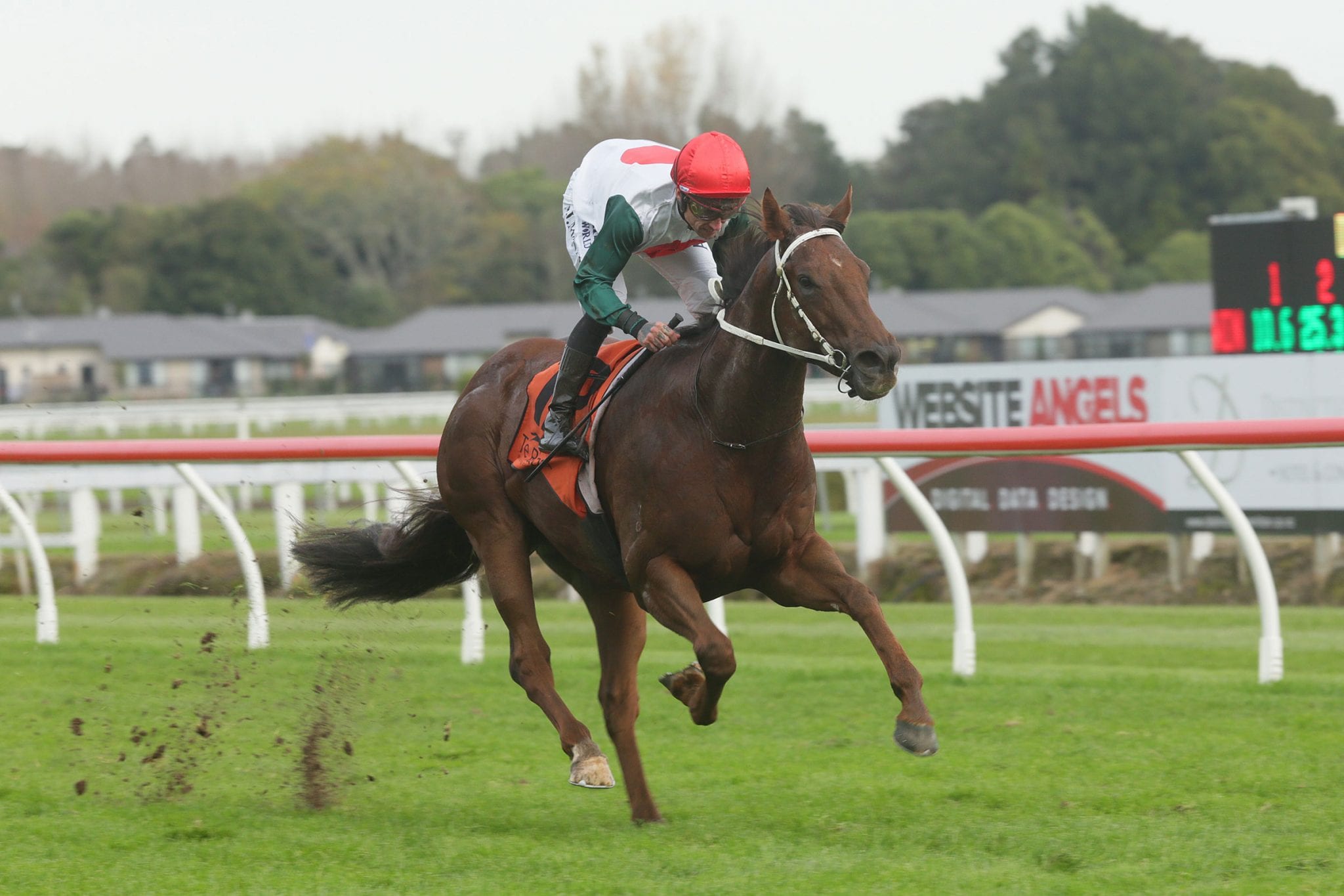 McNab times his run to perfection with Marsh winner
