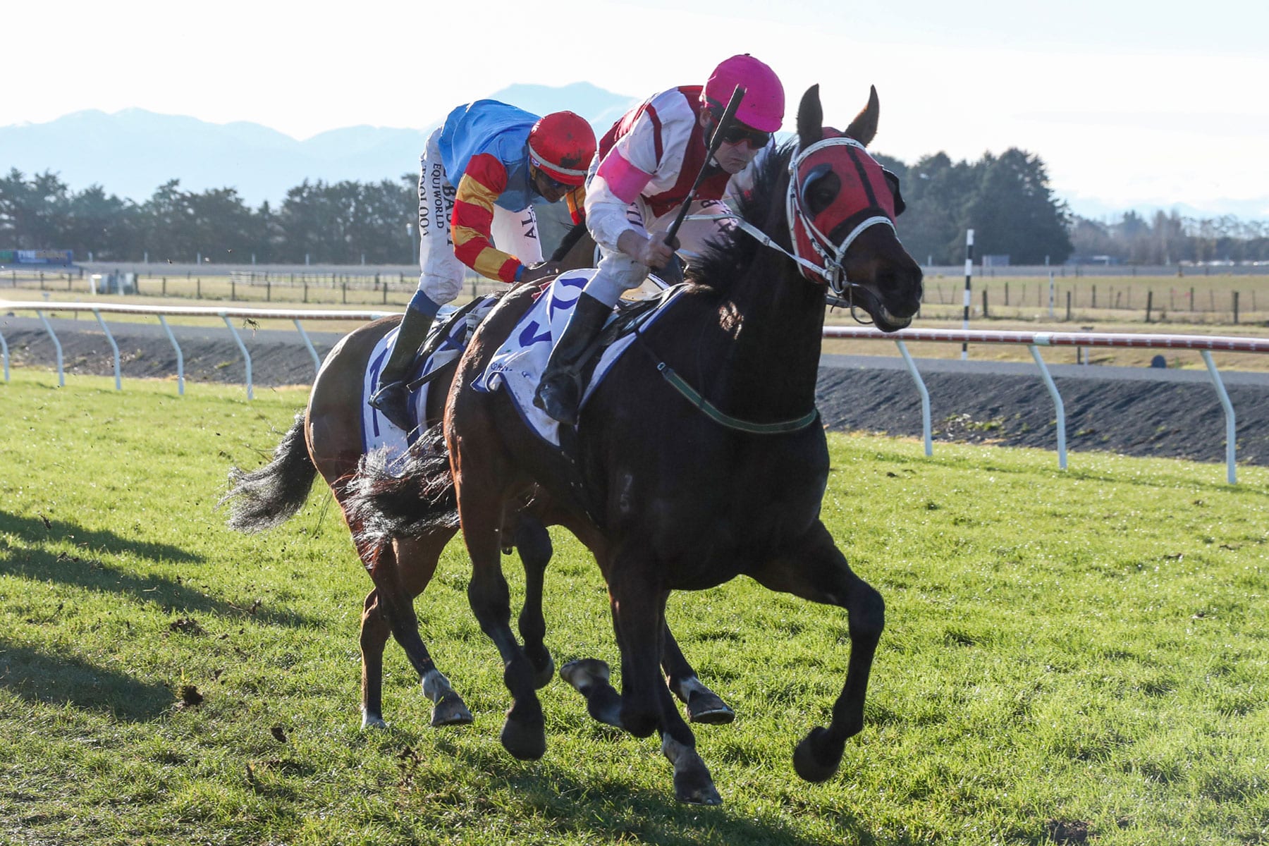 Take The Deel wins Waimate Cup