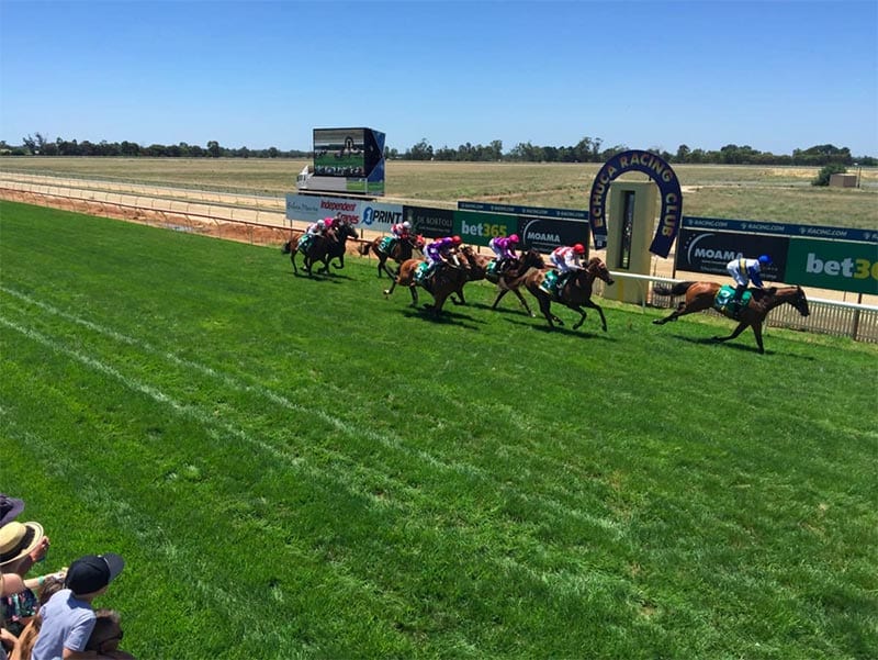 Echuca horse racing