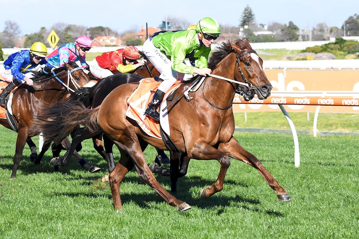 Our Playboy wins at Caulfield