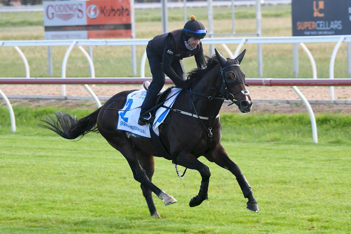 Melbourne Cup hope Spanish Mission