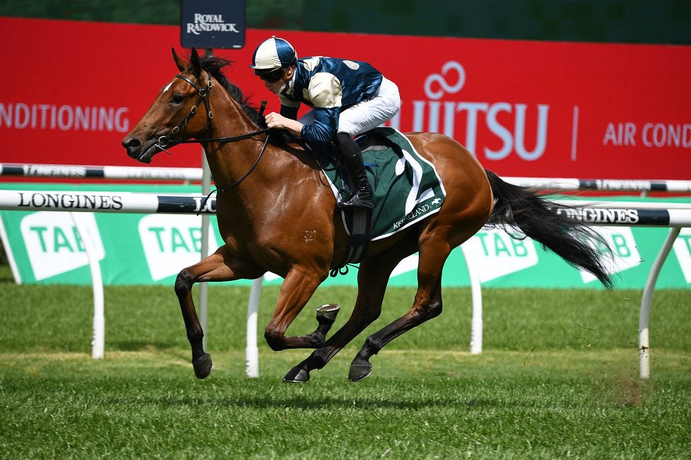 Coolangatta horse