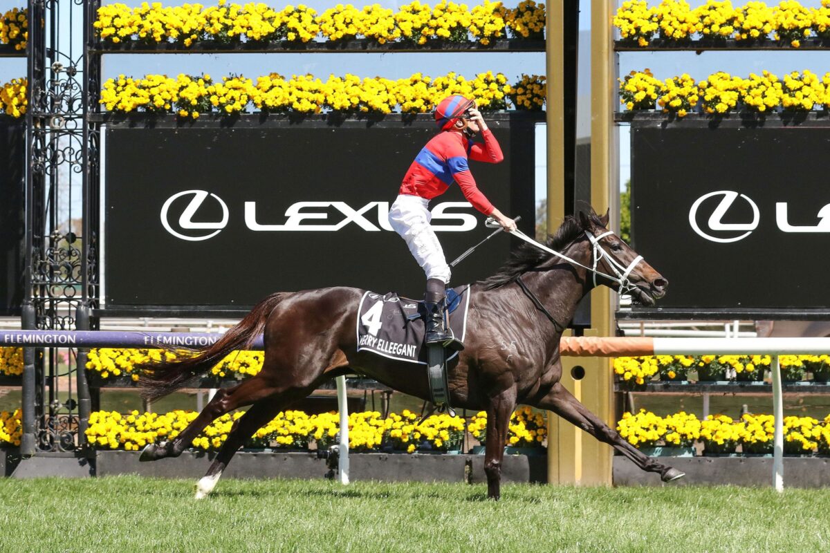 Verry Elleegant honoured with Group 1 race
