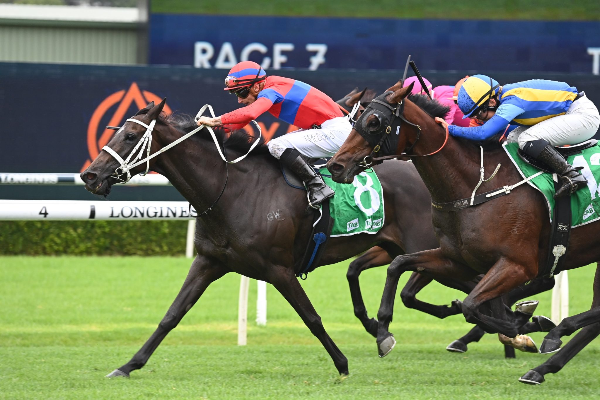 Can Verry Elleegant add Queen Elizabeth Stakes to her resume?