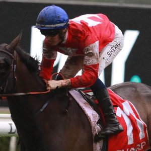 Icebath ready for 2022 Queen Of The Turf Stakes