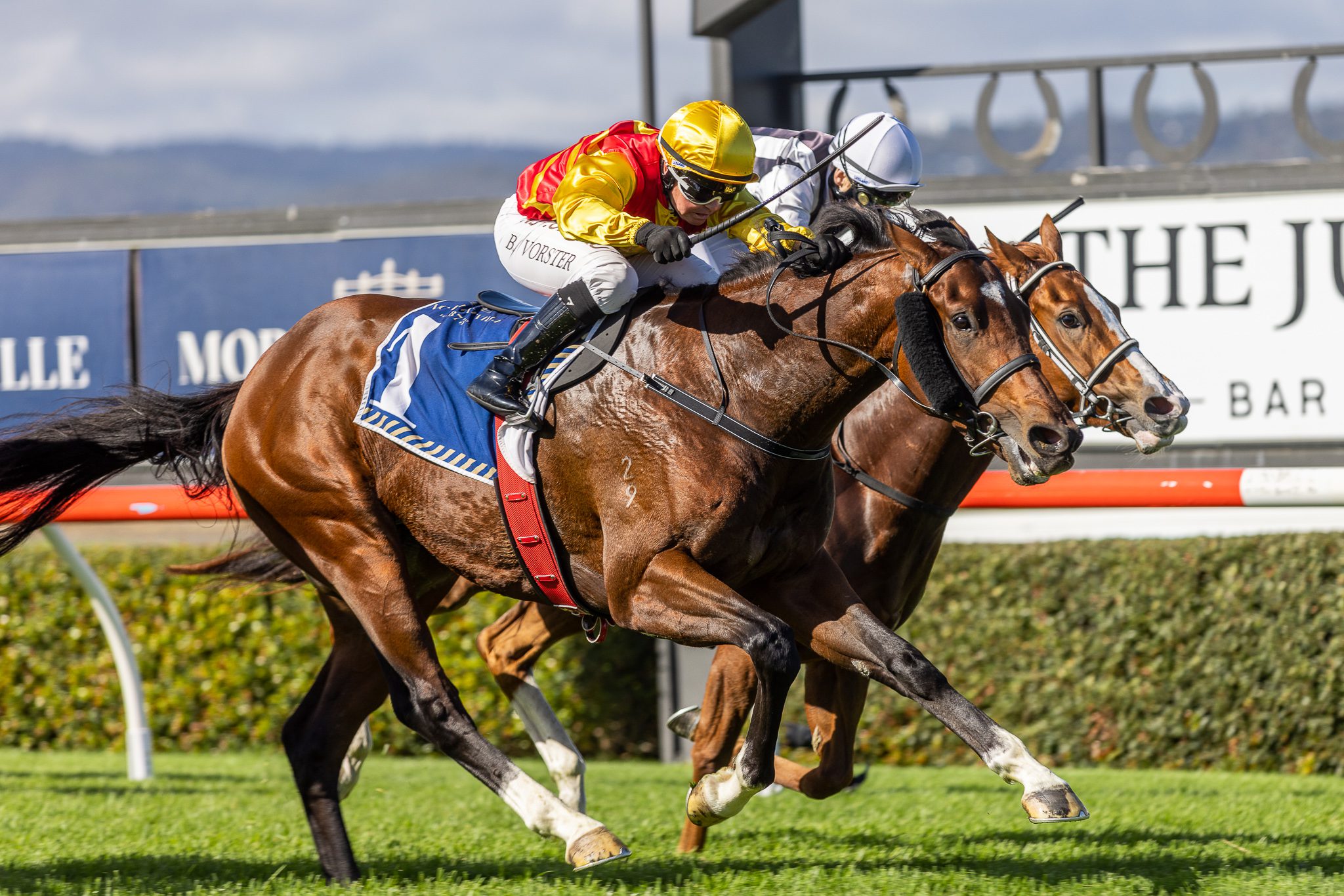 Twin Stars With Group 1 Agenda Following Sires' Win