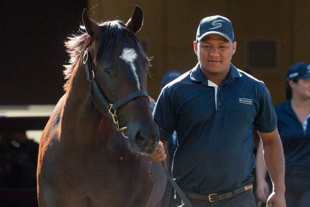 Basquiat books J.J. Atkins spot with Doomben win