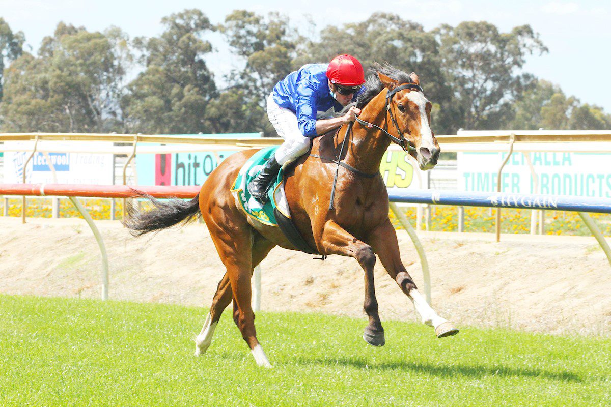 The Nephew wins at Benalla