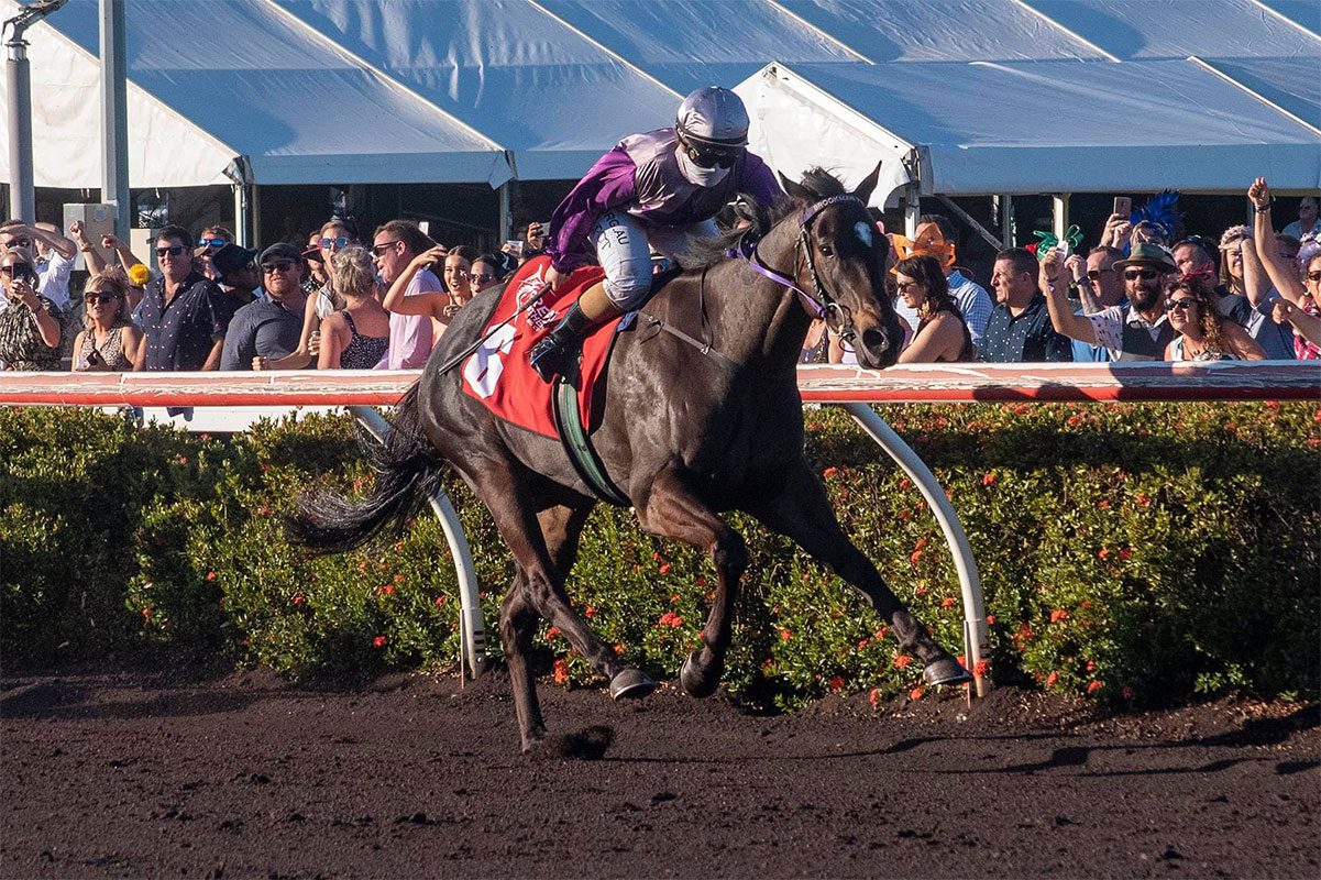 Highly Decorated wins Darwin Cup