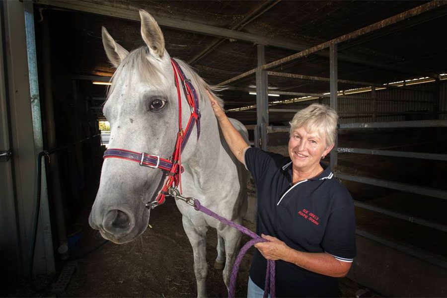 Tamworth trainer Sue Grills