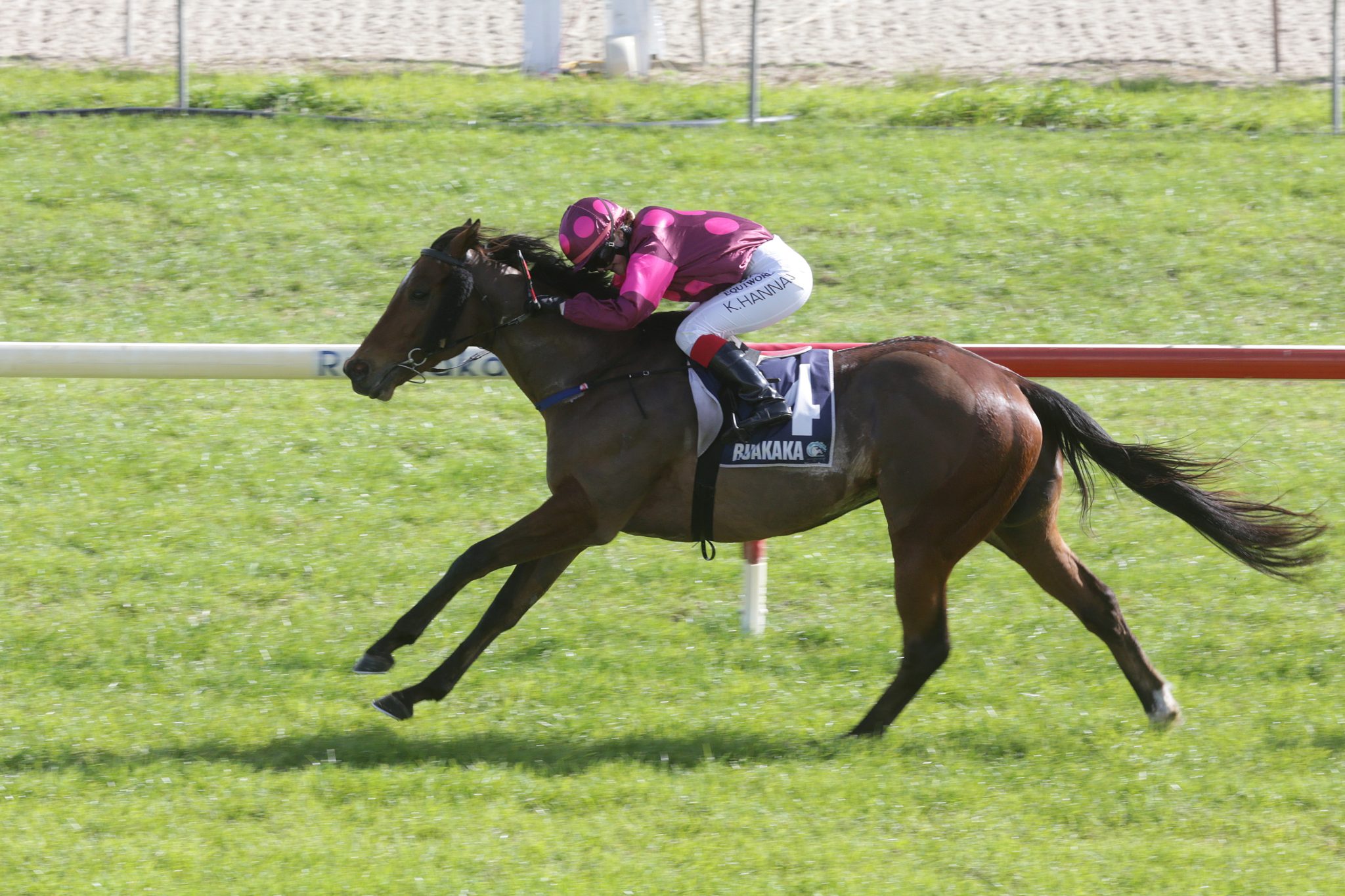 Rae & Williams-Tuhoro enjoy successful Saturday