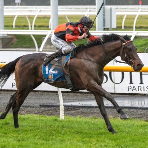 Lord Darci wins Group 3 Winter Cup