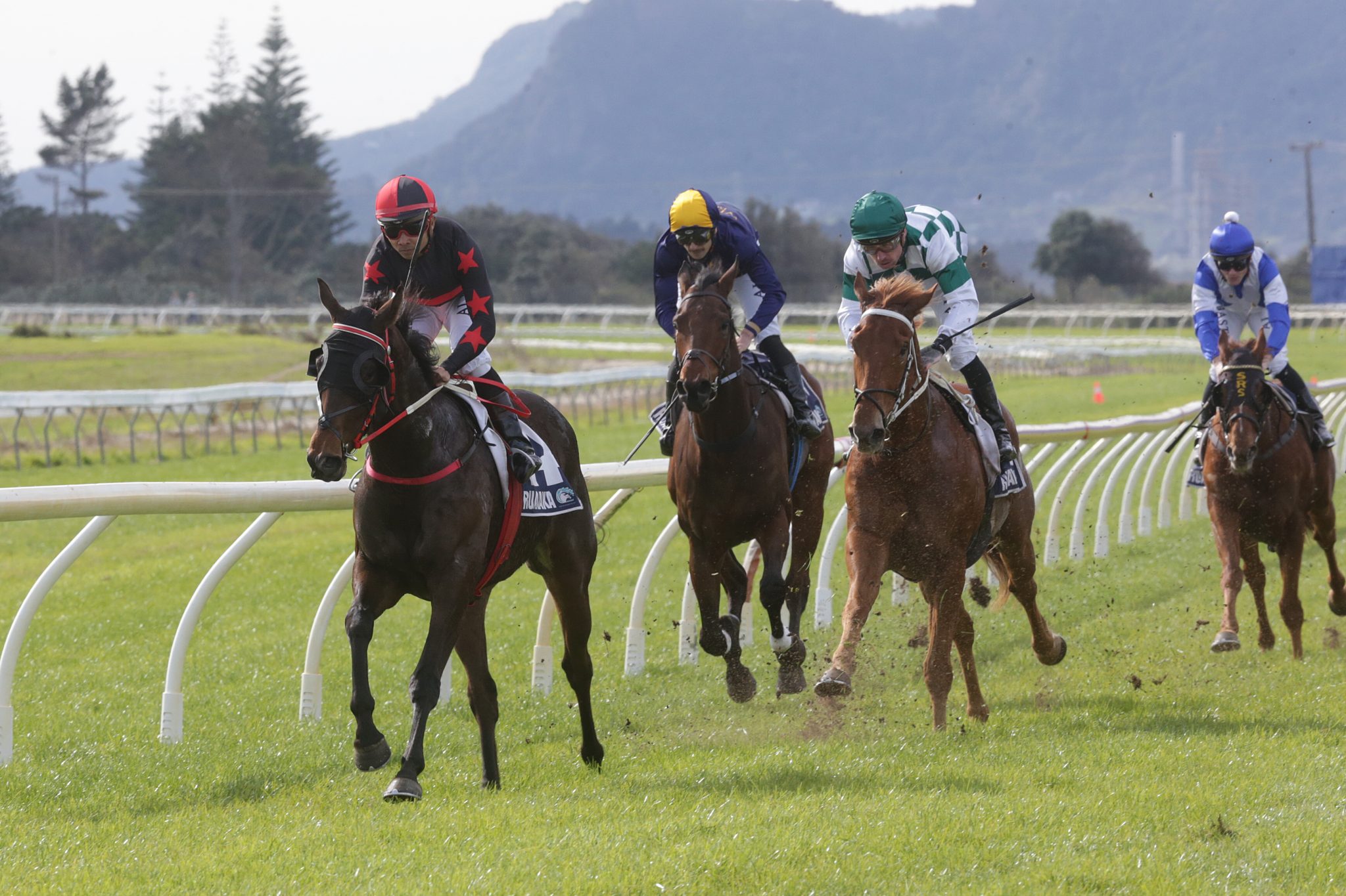 Bishara pleased with Texas